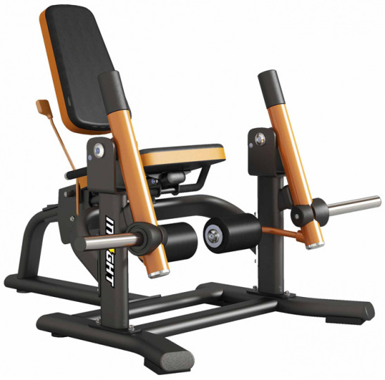Insight Gym Разгибание ног сидя IG-65017 (SH017)